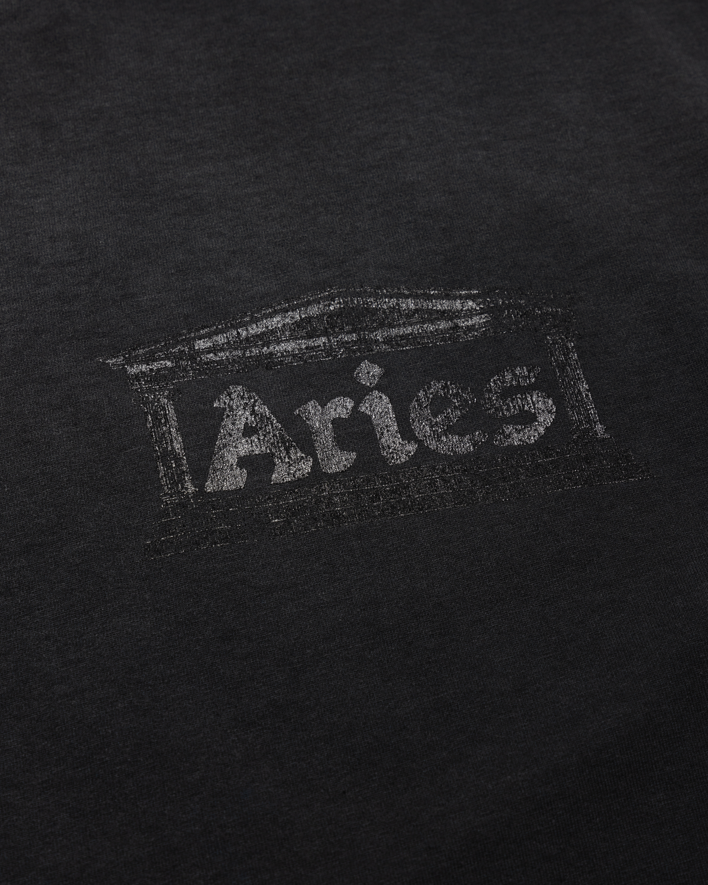 Sunbleached Ancient Temple SS Tee
