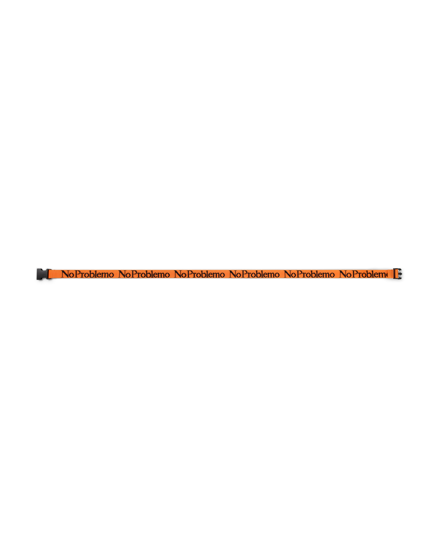 Webbing Belt