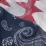 Tommy x Aries Bandana Sheer Bra