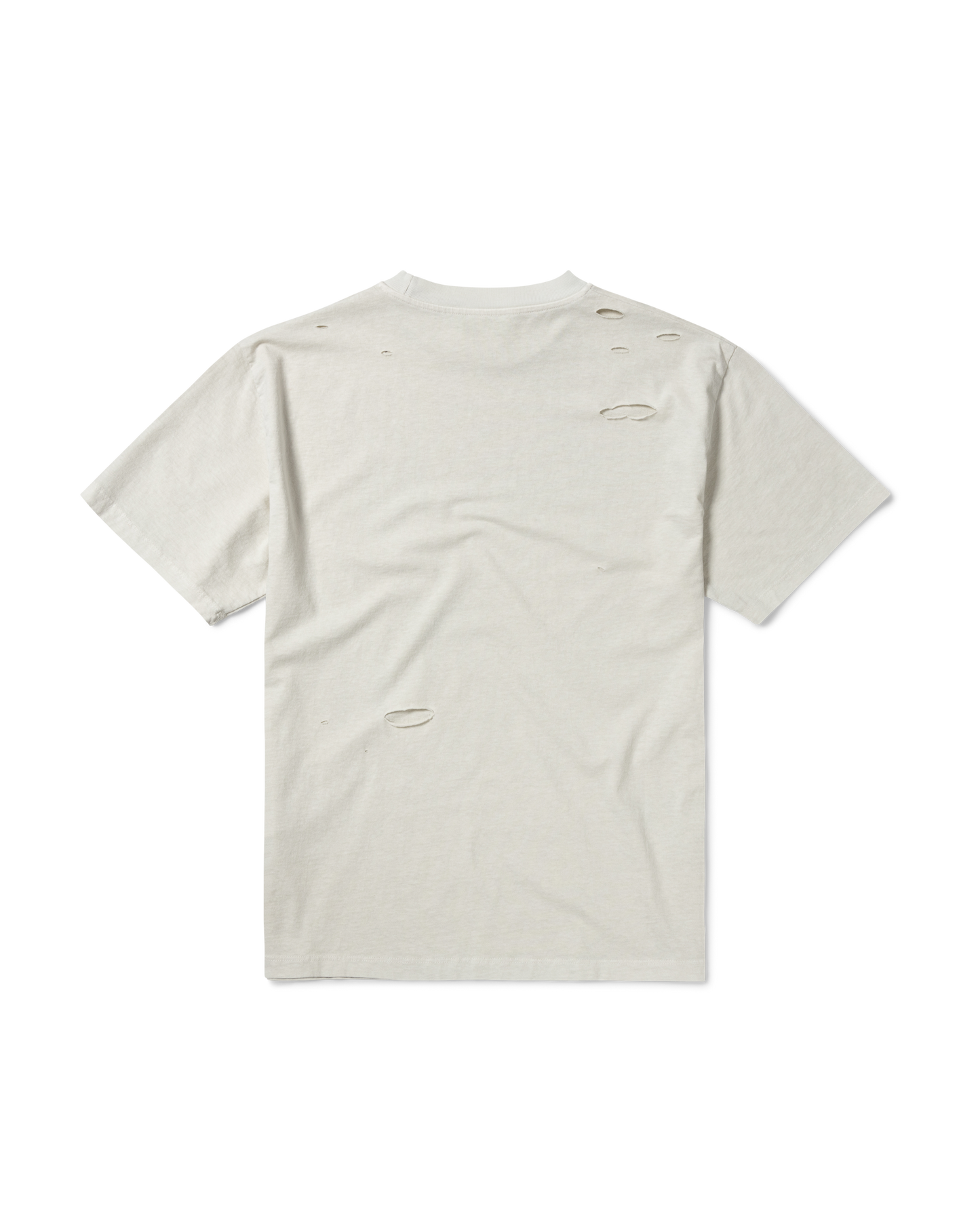 Destroyed Sororitee SS Tee