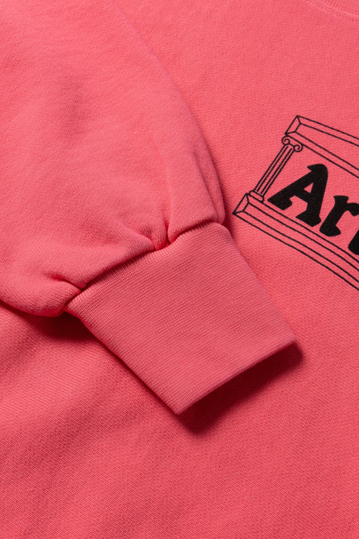 Premium Temple Sweatshirt